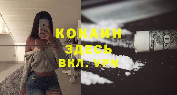 PSILOCYBIN Гусев