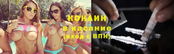 дживик Гусь-Хрустальный