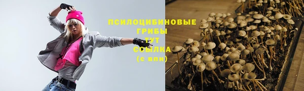 PSILOCYBIN Гусев