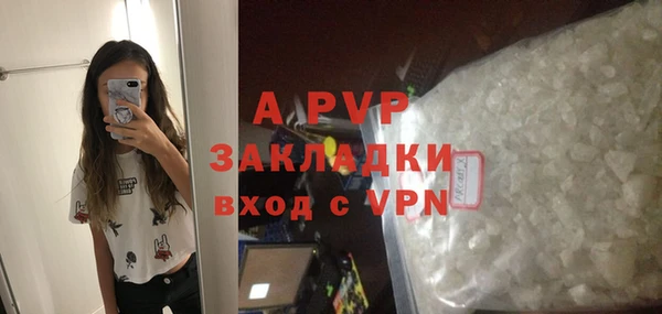 дживик Гусь-Хрустальный