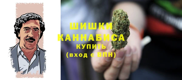дживик Гусь-Хрустальный