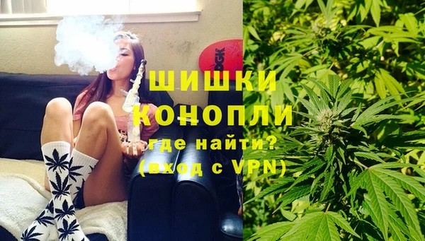 PSILOCYBIN Гусев