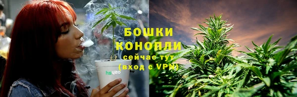 дживик Гусь-Хрустальный