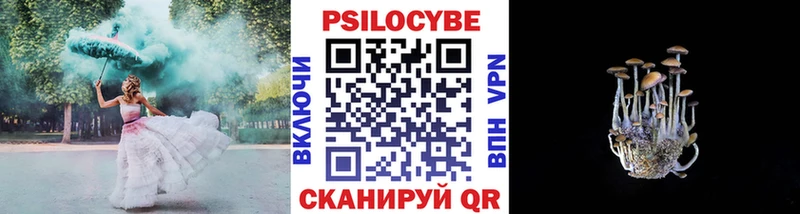 Псилоцибиновые грибы мицелий  Купить где  Качканар 